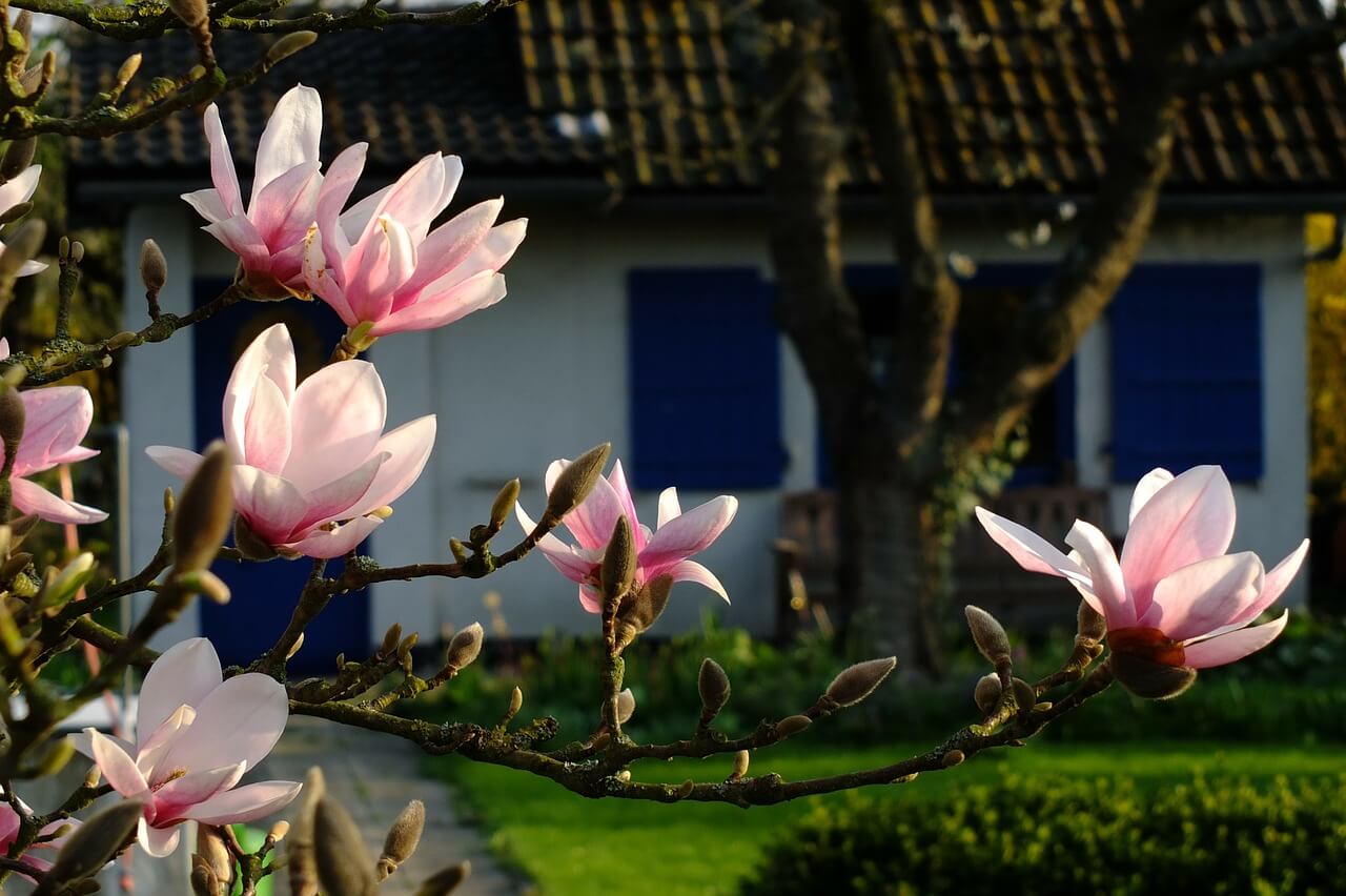Es werde licht frühlingskur für balkon und garten