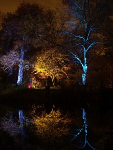 So wird Ihr Garten zum Lichterzauberland