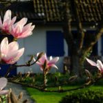 Es werde Licht: Frühlingskur für Balkon & Garten